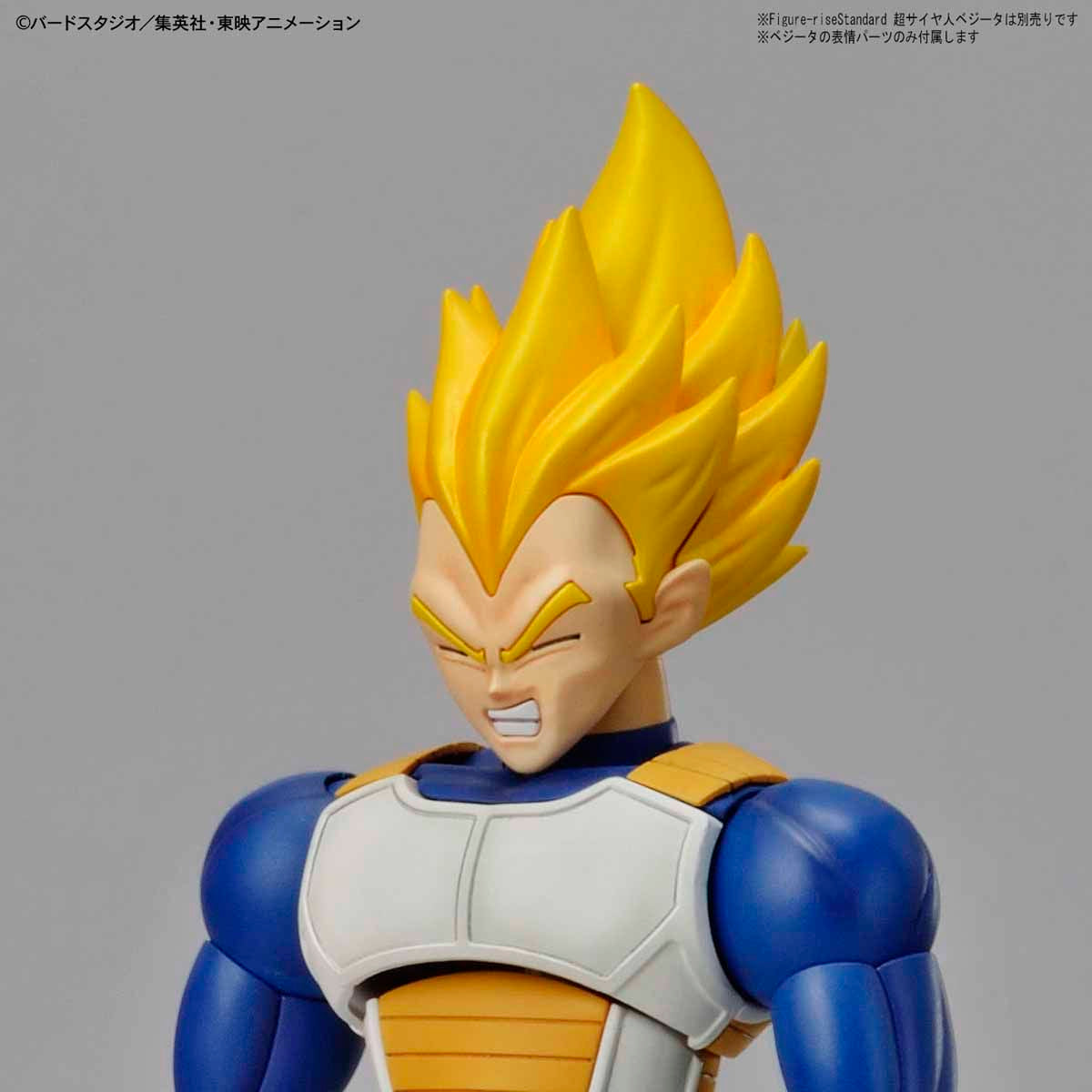 Figure-rise Standard Legendary Super Saiyan Broly