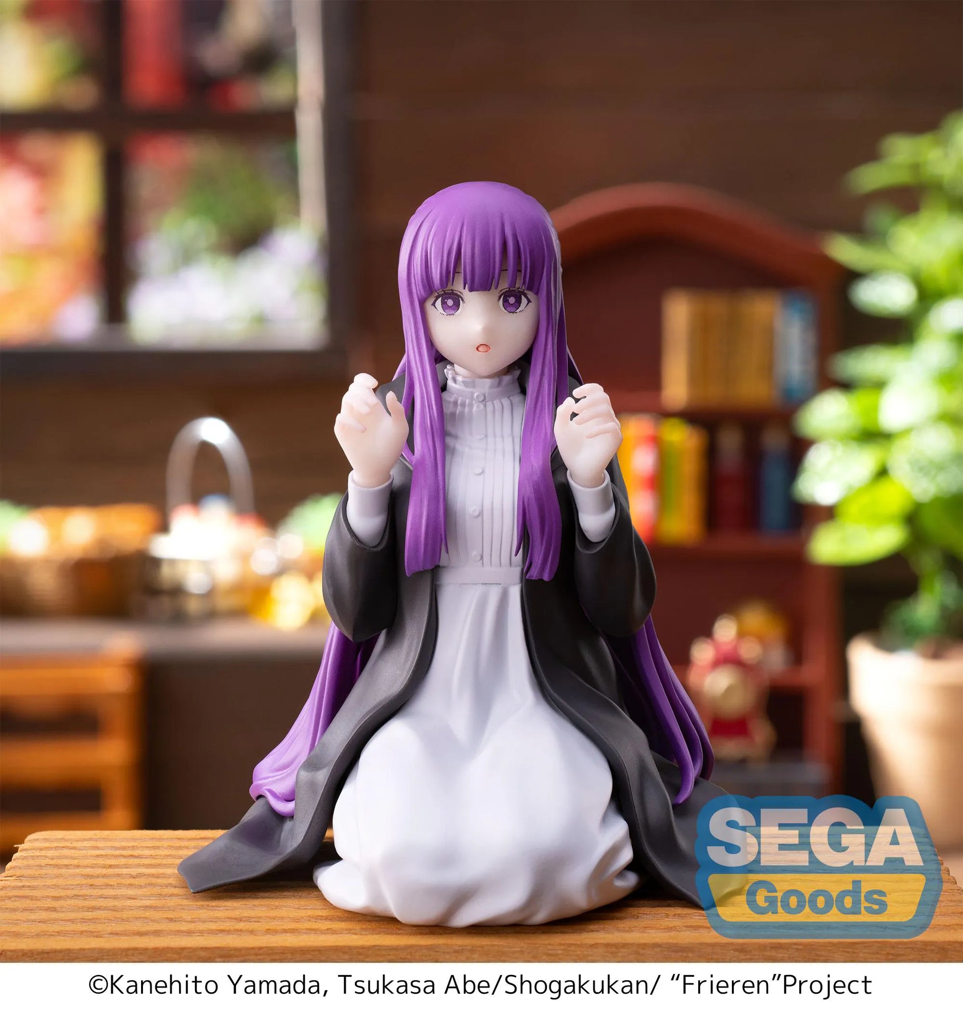Frieren: Beyond Journey's End PM Perching Figure Fern