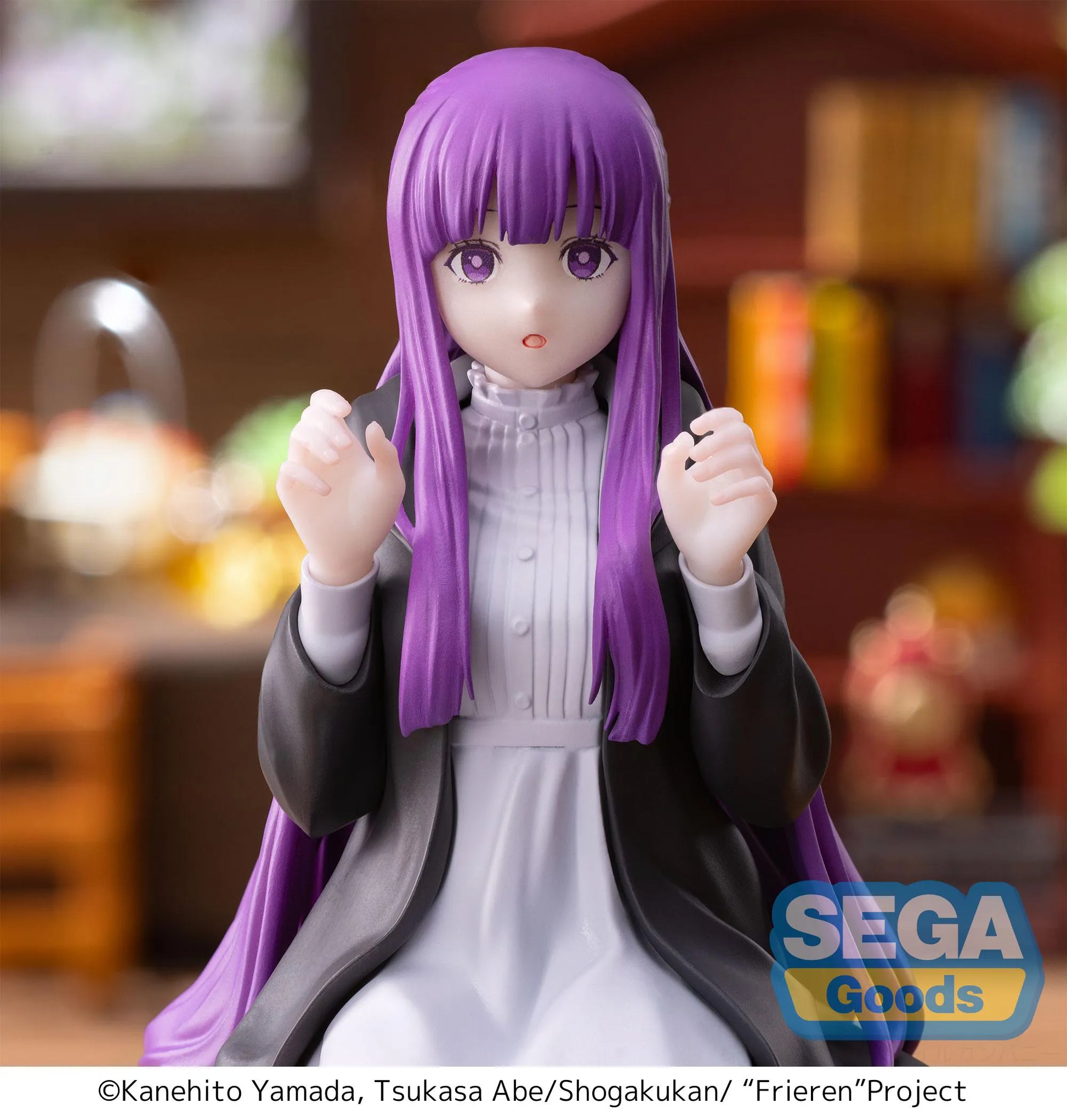 Frieren: Beyond Journey's End PM Perching Figure Fern