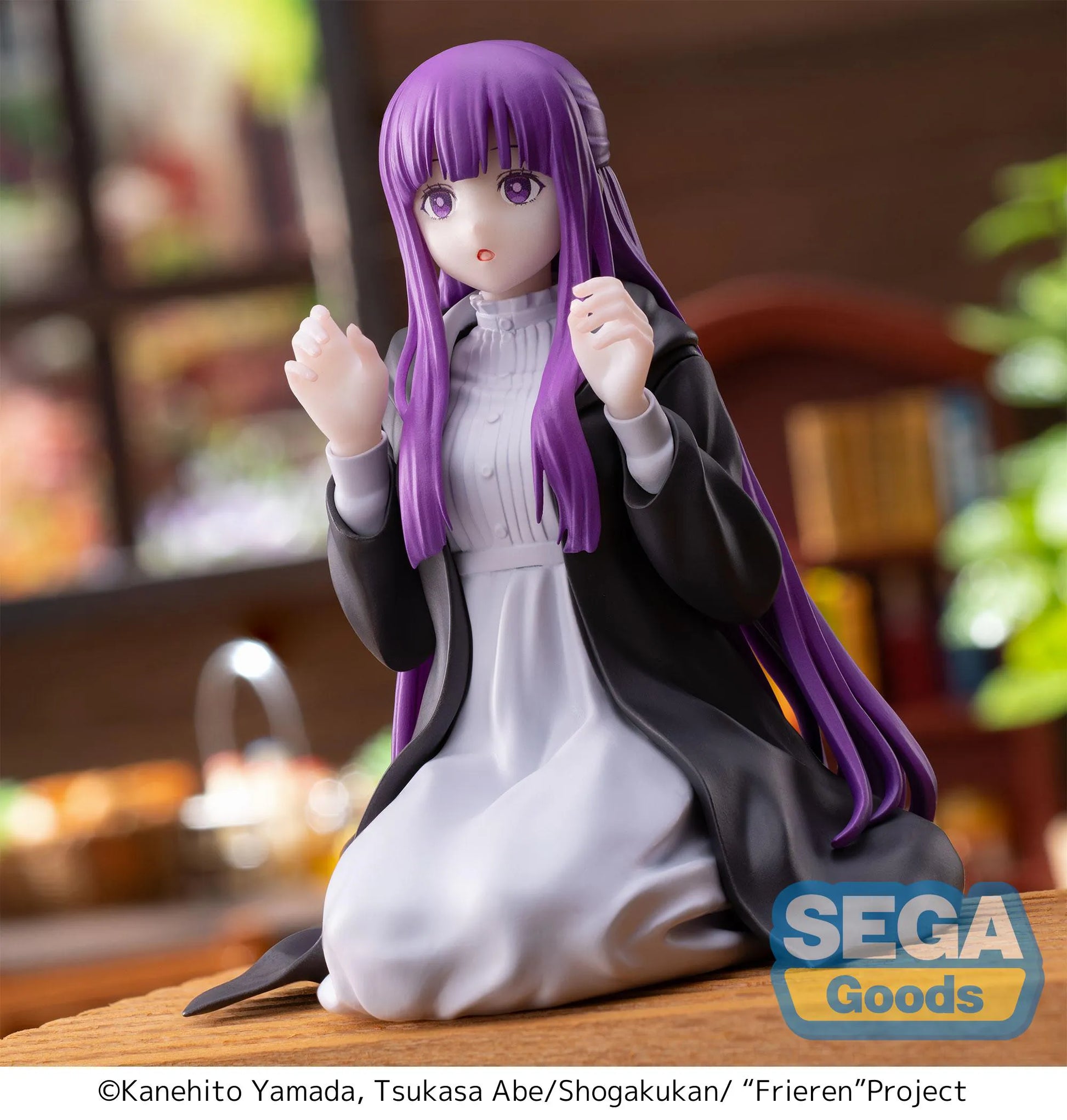 Frieren: Beyond Journey's End PM Perching Figure Fern