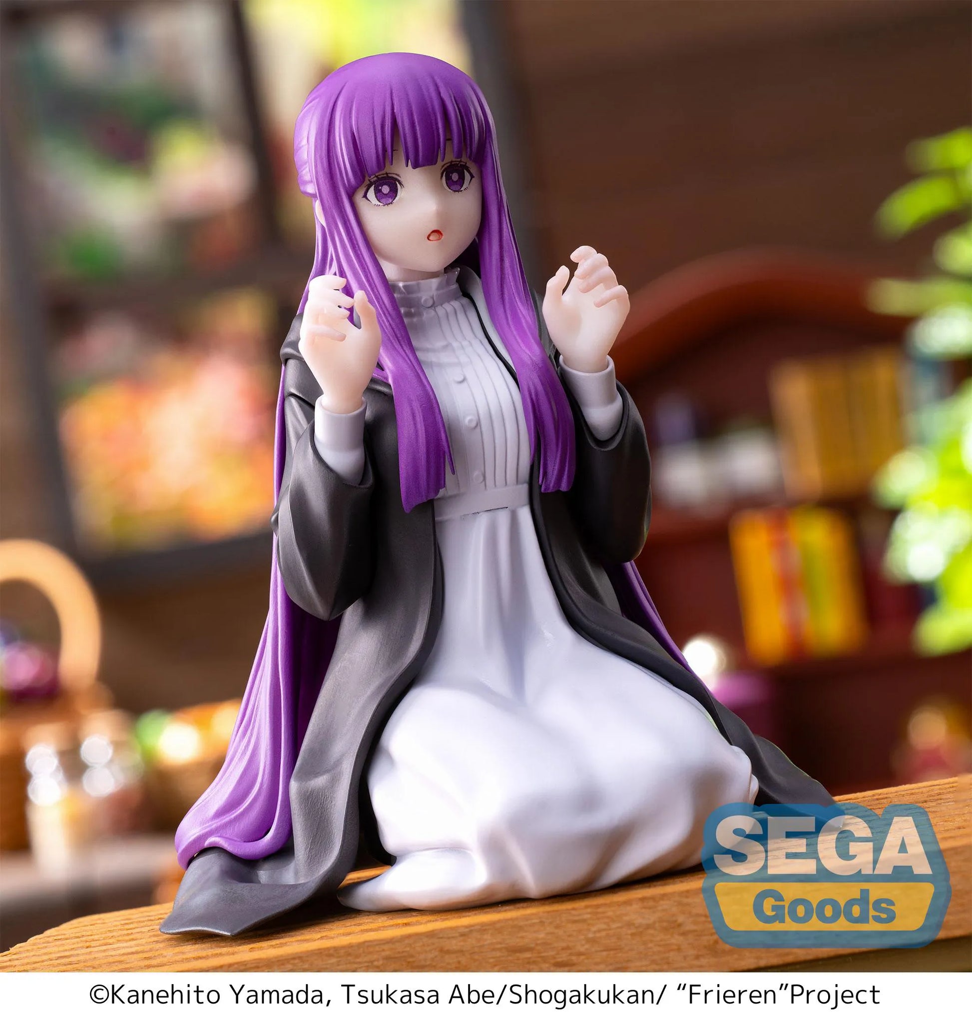 Frieren: Beyond Journey's End PM Perching Figure Fern