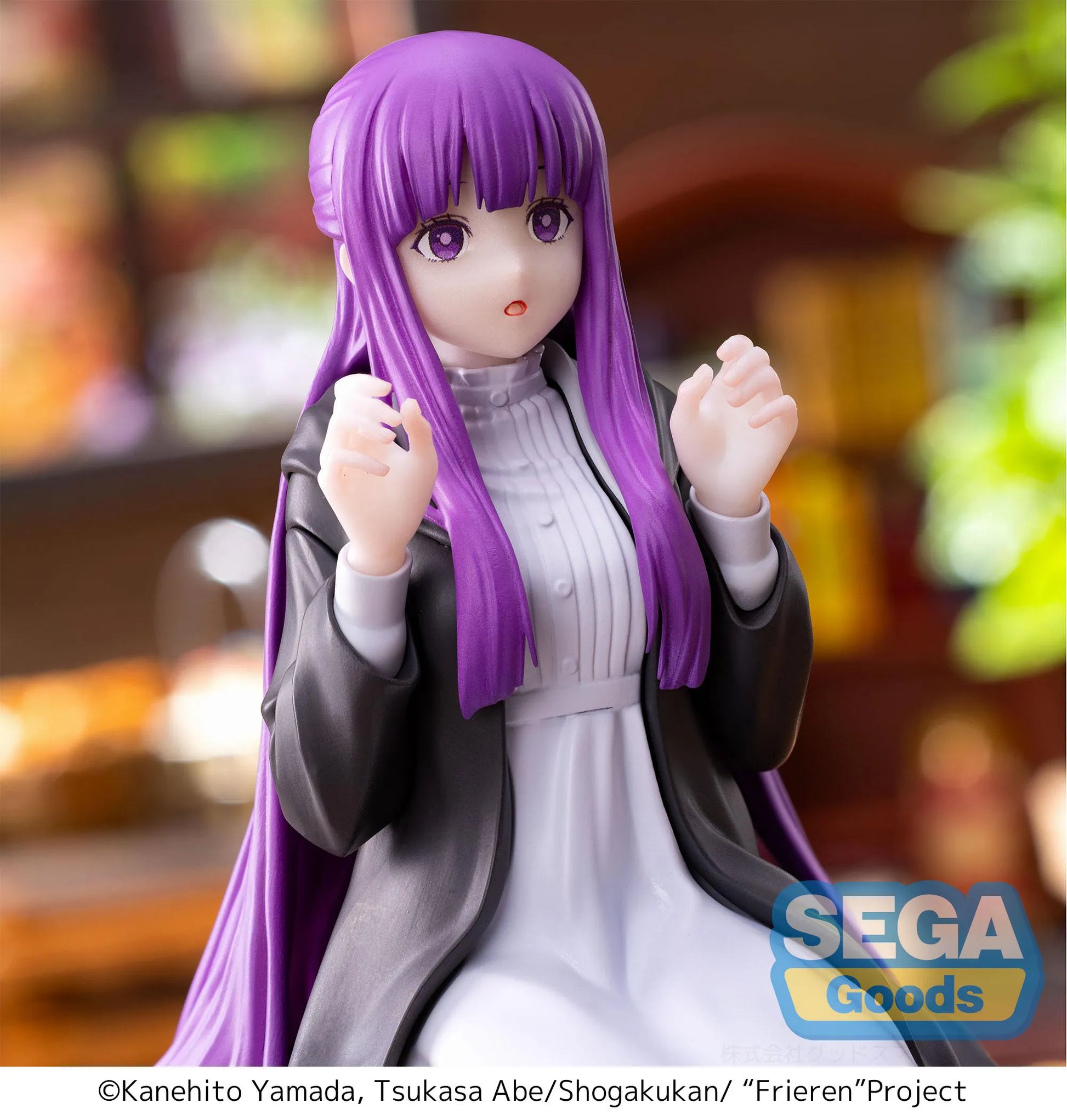 Frieren: Beyond Journey's End PM Perching Figure Fern