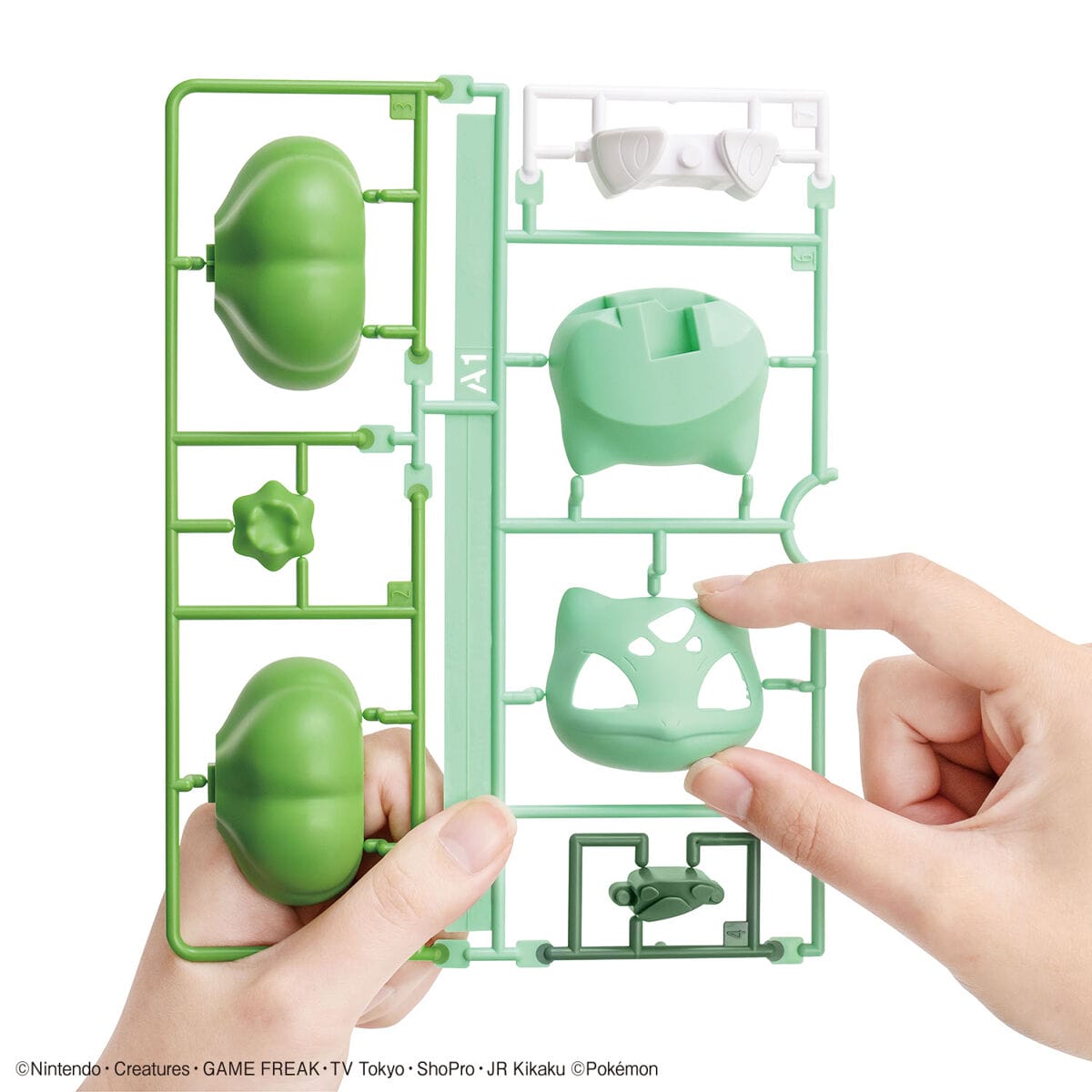 Pokemon Model Kit Quick!! 13 Bulbasaur