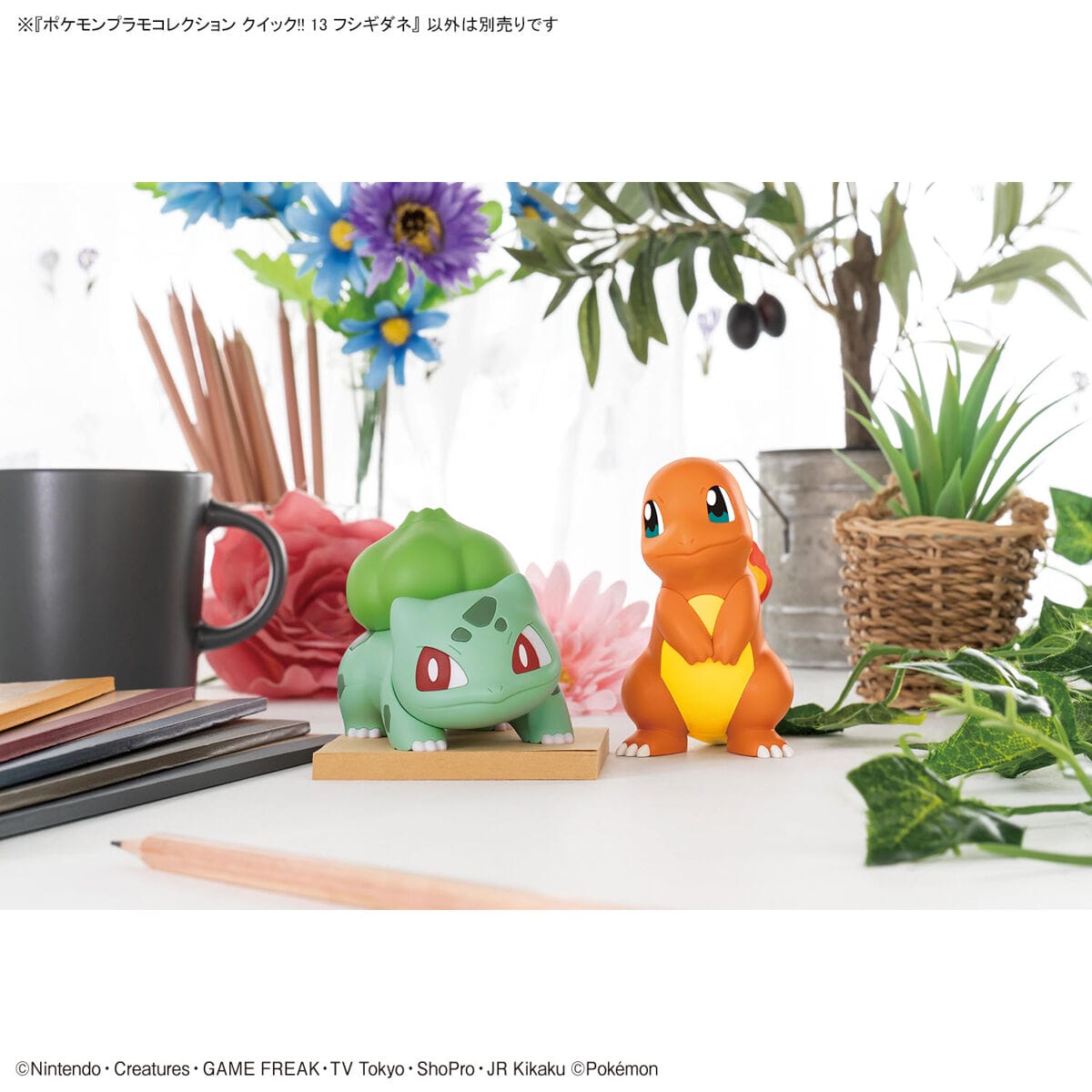 Pokemon Model Kit Quick!! 13 Bulbasaur