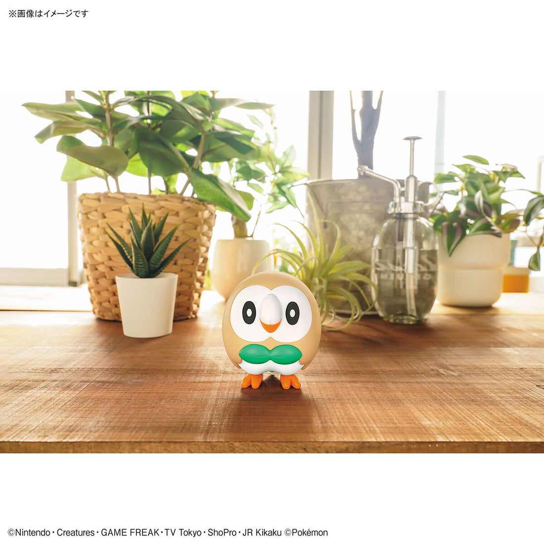 Rowlet Model Kit Quick!! - Glacier Hobbies - Bandai