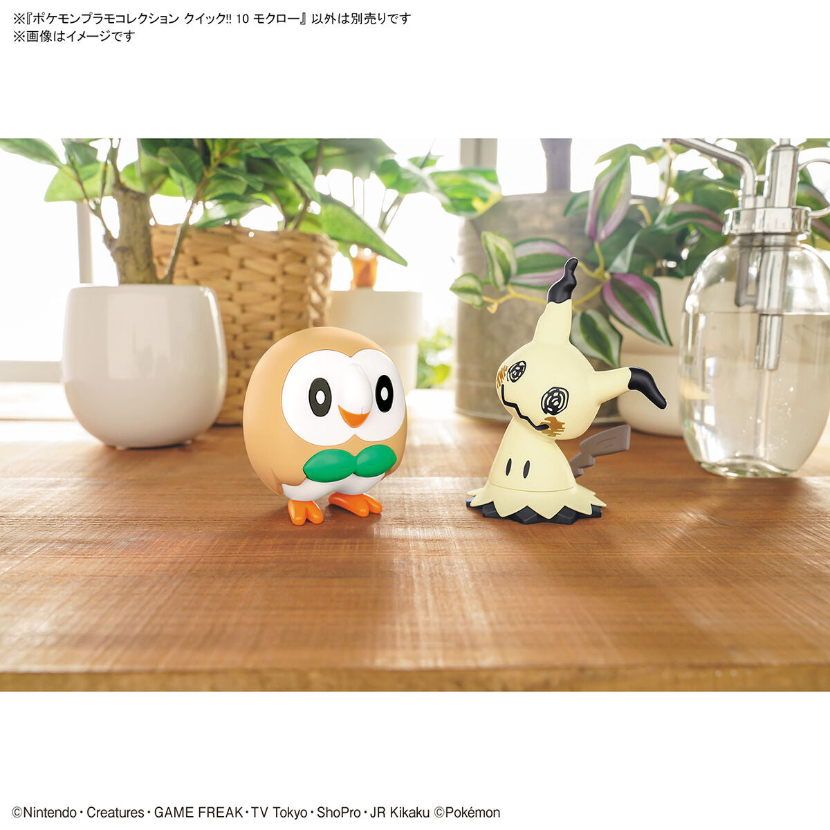 Rowlet Model Kit Quick!! - Glacier Hobbies - Bandai