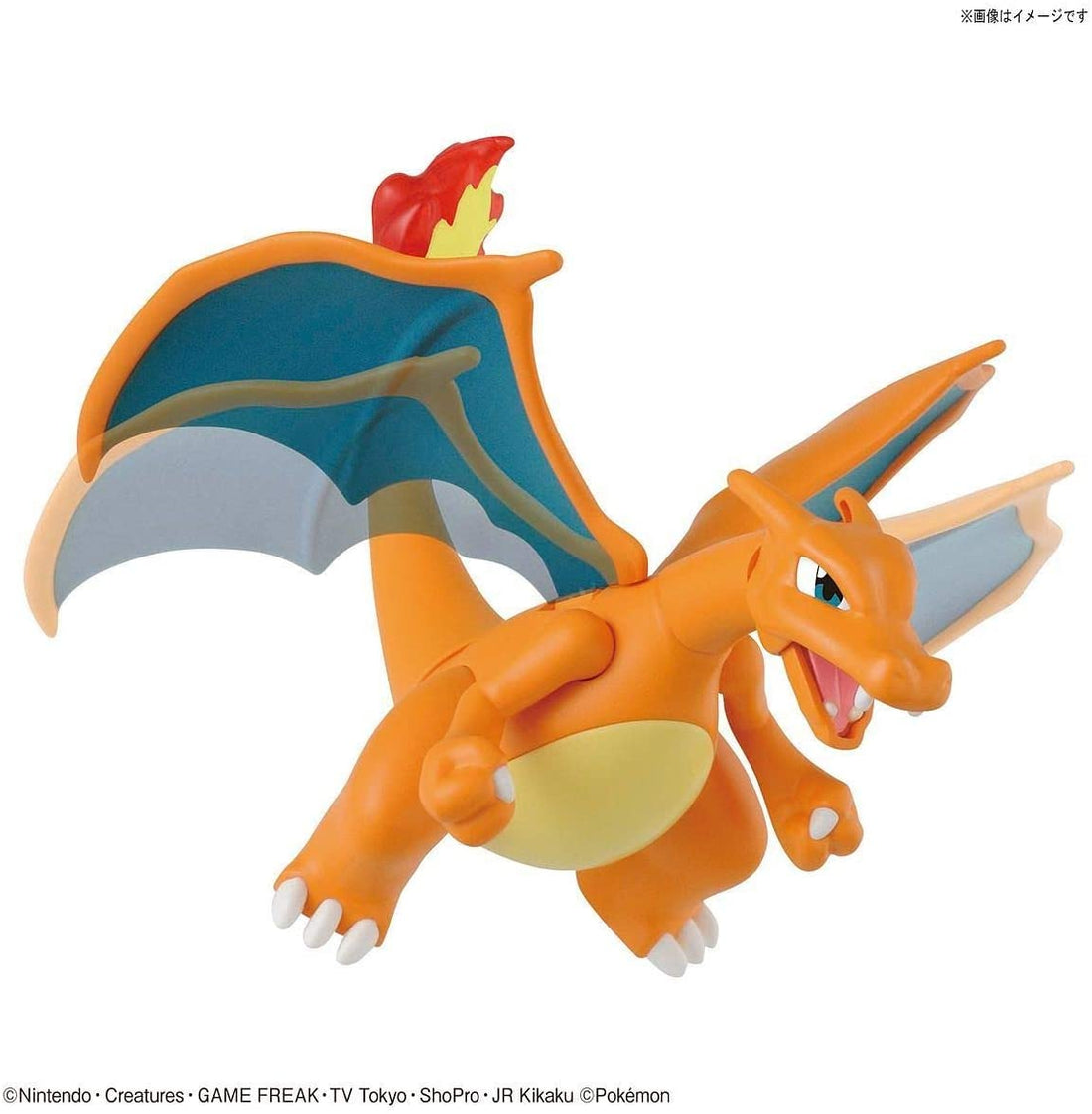 Charizard & Dragonite Model - Glacier Hobbies - Bandai