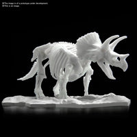 Triceratops Limex Skeleton - Glacier Hobbies - Bandai