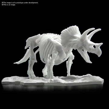 Triceratops Limex Skeleton - Glacier Hobbies - Bandai