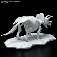 Triceratops Limex Skeleton - Glacier Hobbies - Bandai