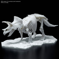 Triceratops Limex Skeleton - Glacier Hobbies - Bandai