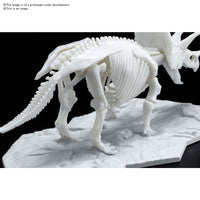 Triceratops Limex Skeleton - Glacier Hobbies - Bandai