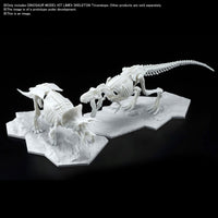 Triceratops Limex Skeleton - Glacier Hobbies - Bandai