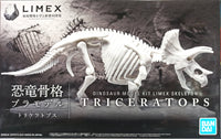 Triceratops Limex Skeleton - Glacier Hobbies - Bandai