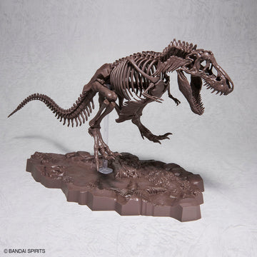 Imaginary Skeleton 1/32 Tyrannosaurus - Glacier Hobbies - Bandai