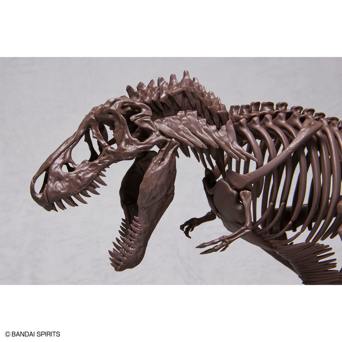 Imaginary Skeleton 1/32 Tyrannosaurus - Glacier Hobbies - Bandai