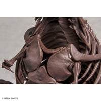 Imaginary Skeleton 1/32 Tyrannosaurus - Glacier Hobbies - Bandai