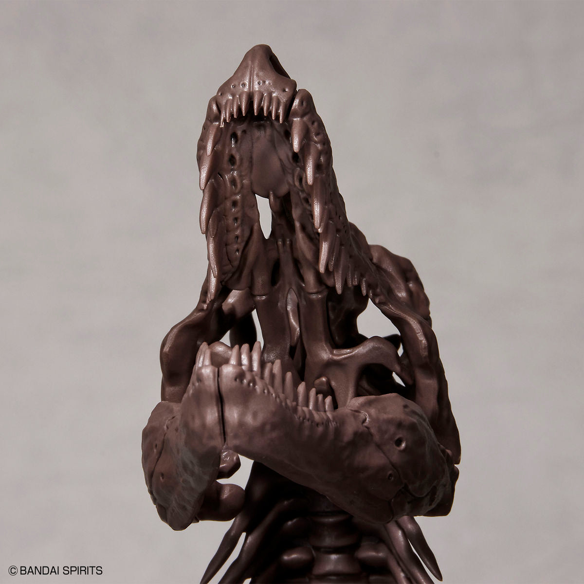 Imaginary Skeleton 1/32 Tyrannosaurus - Glacier Hobbies - Bandai