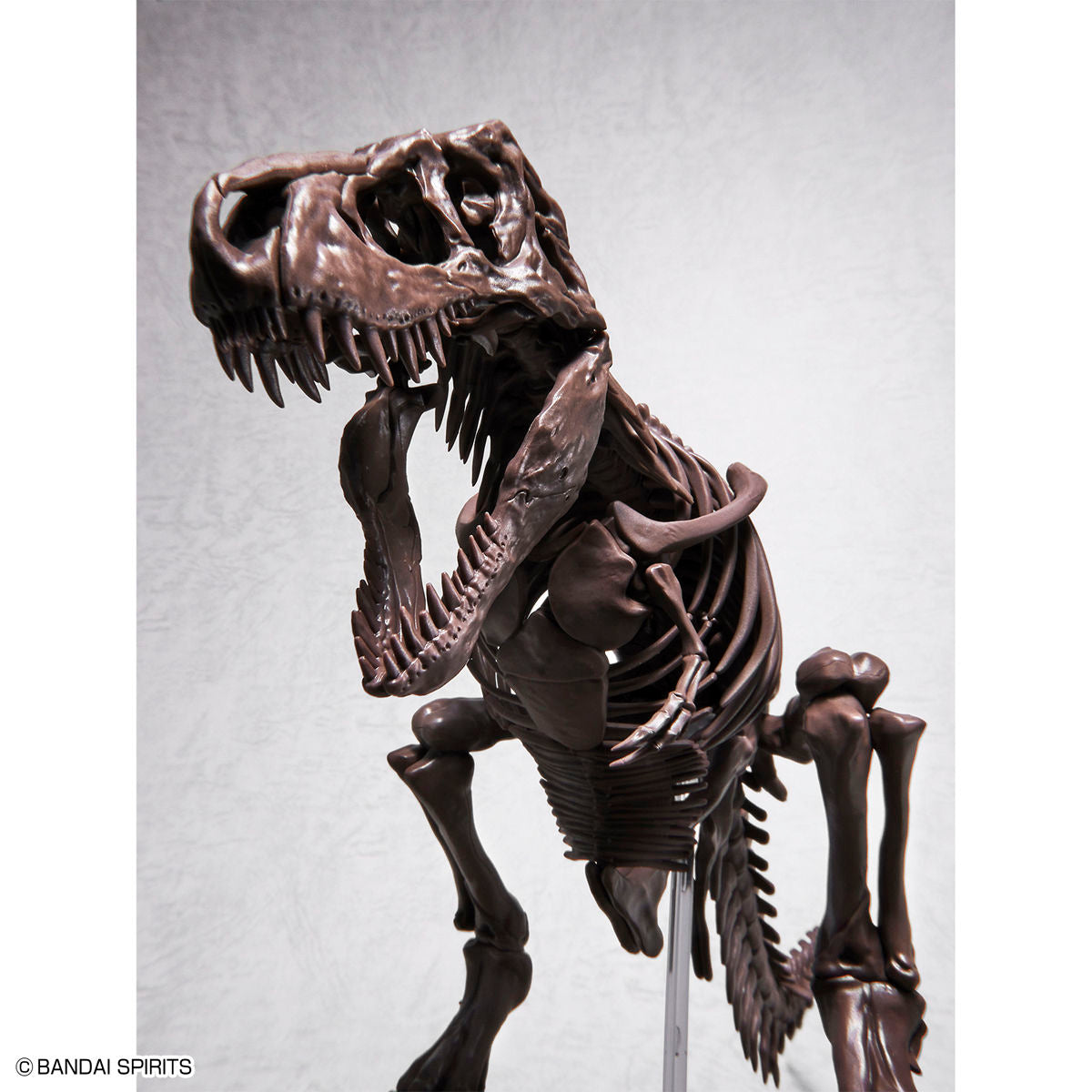 Imaginary Skeleton 1/32 Tyrannosaurus - Glacier Hobbies - Bandai