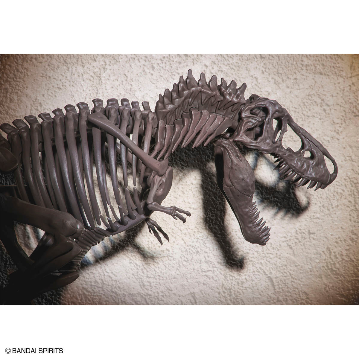 Imaginary Skeleton 1/32 Tyrannosaurus - Glacier Hobbies - Bandai