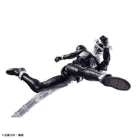 Kamen Rider Skull Figure-rise Standard - Glacier Hobbies - Bandai