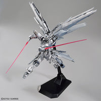 MG 1/100 Freedom Gundam Ver 2.0 Silver Coating [The Gundam Base Limited] - Glacier Hobbies - Bandai