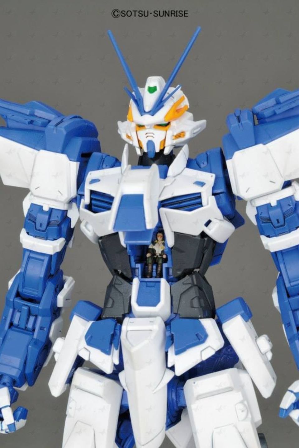 MG 1/100 Gundam Astray Blue Frame D - Master Grade Mobile Suit Gundam SEED Destiny Astray B | Glacier Hobbies