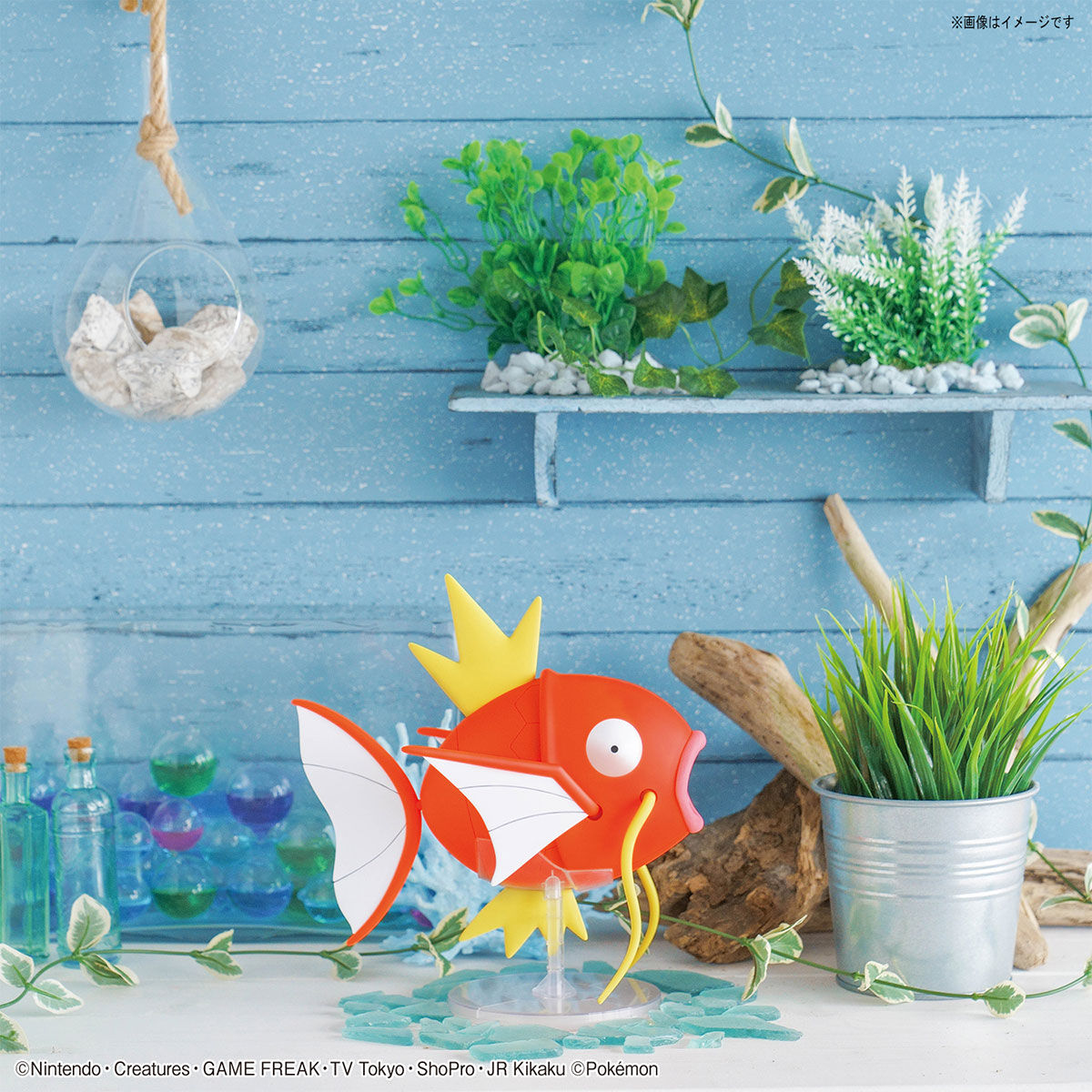 Magikarp Model Big! - Glacier Hobbies - Bandai