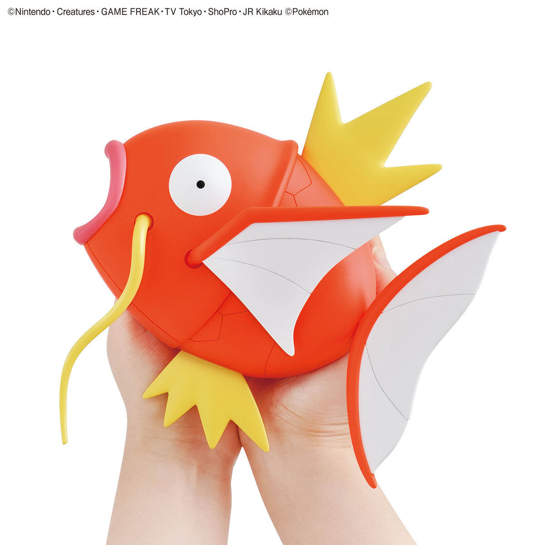 Magikarp Model Big! - Glacier Hobbies - Bandai