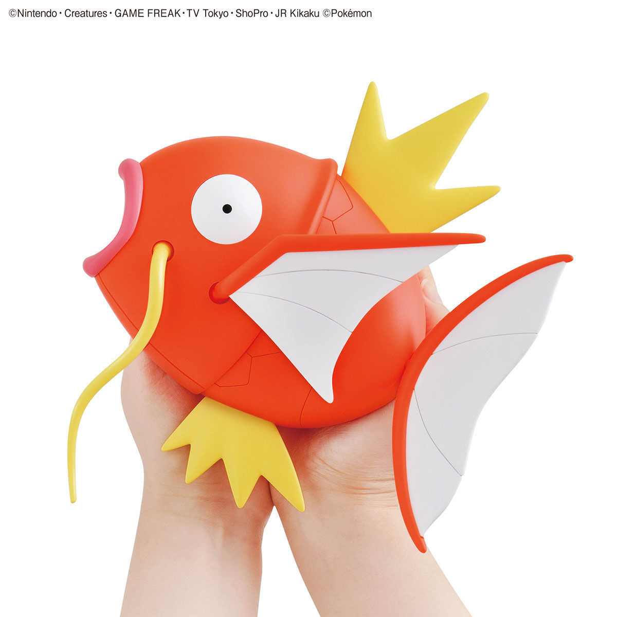 Magikarp Model Big! - Glacier Hobbies - Bandai