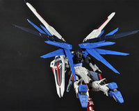 RG 1/144 Freedom Gundam - Real Grade Mobile Suit Gundam SEED | Glacier Hobbies
