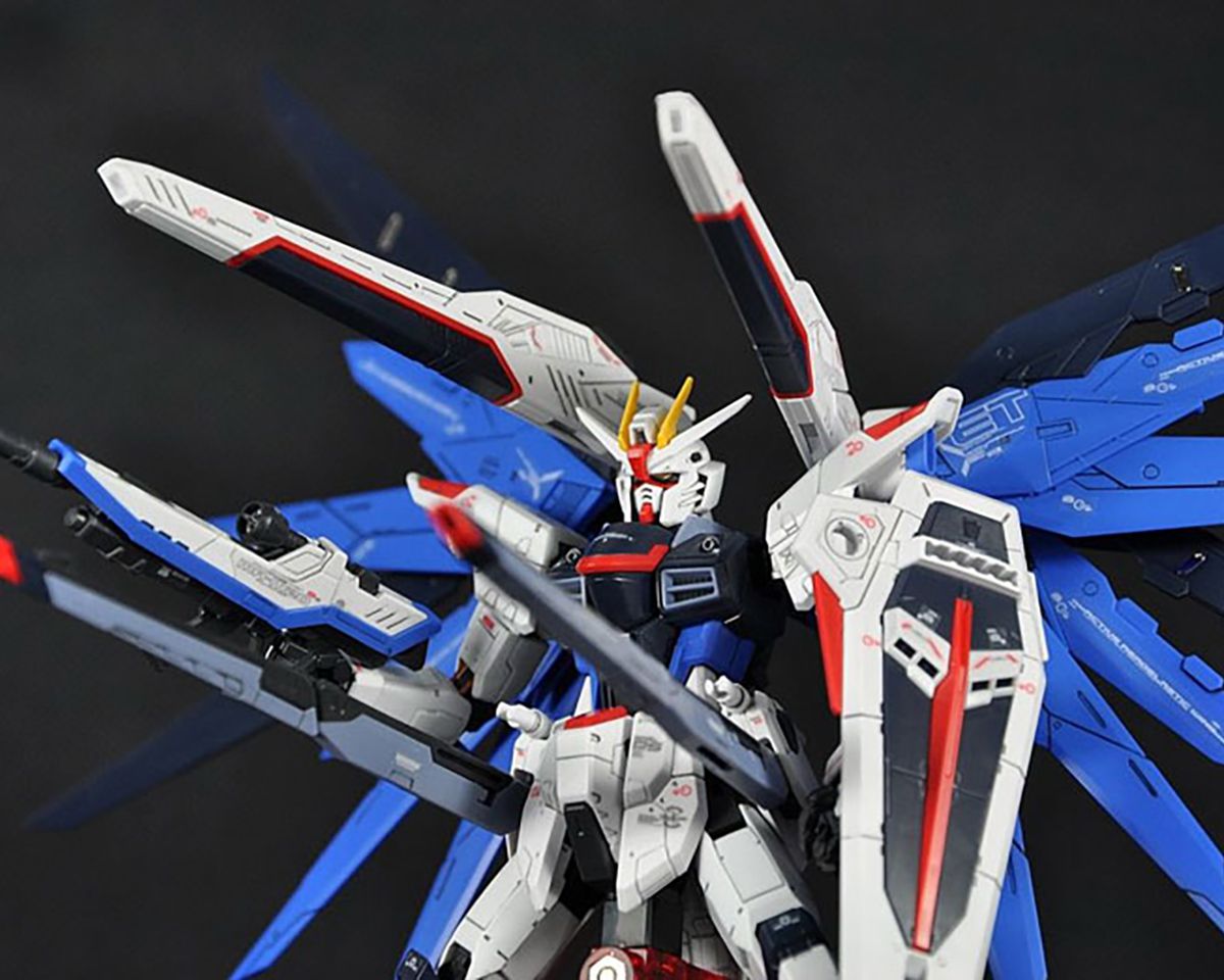 RG 1/144 Freedom Gundam - Real Grade Mobile Suit Gundam SEED | Glacier Hobbies
