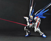RG 1/144 Freedom Gundam - Real Grade Mobile Suit Gundam SEED | Glacier Hobbies