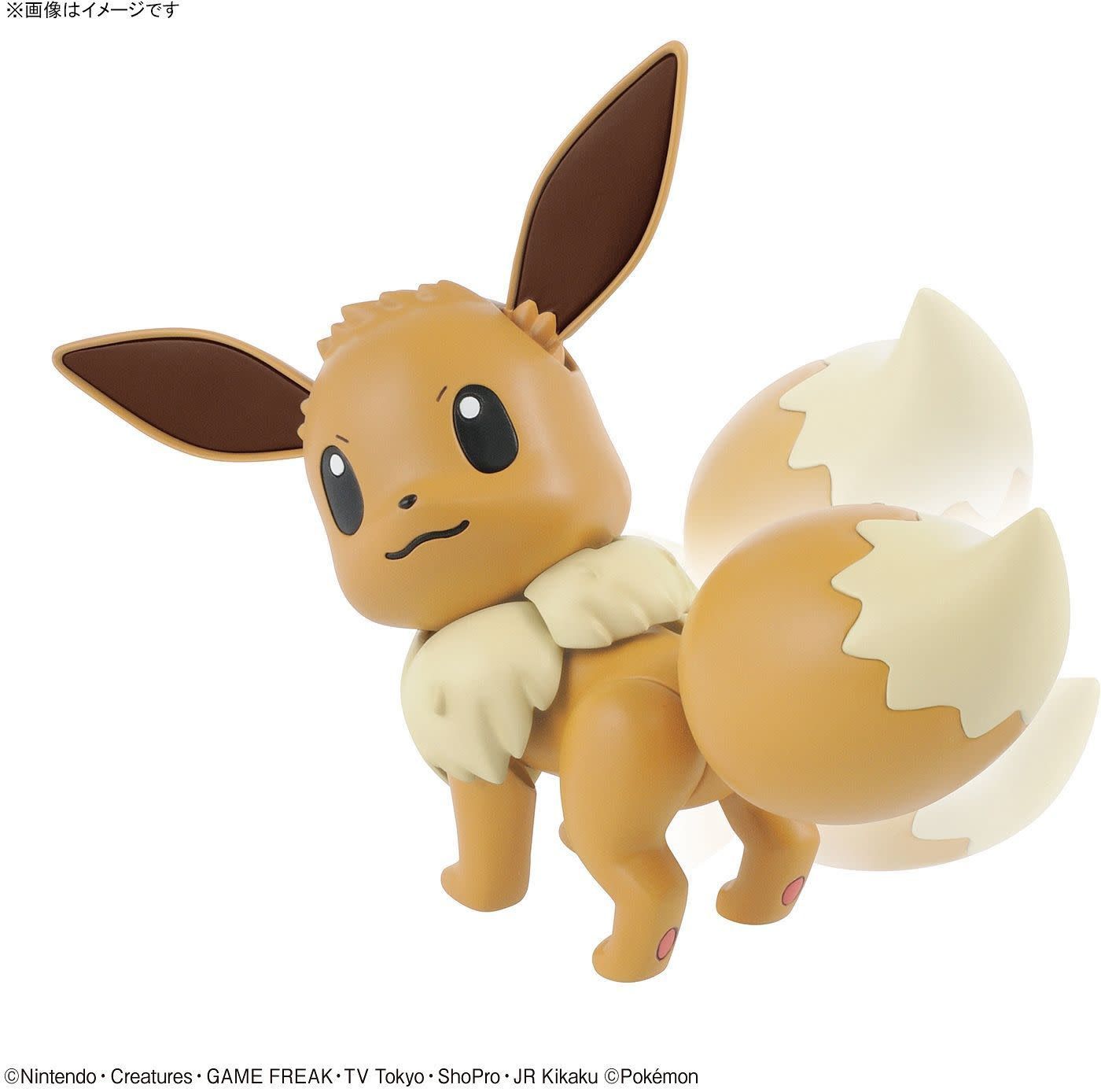 Eevee Model - Glacier Hobbies - Bandai